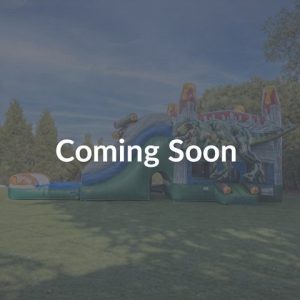 Rex Inferno Splash Single Lane Combo rental from InflatableTX in North DFW