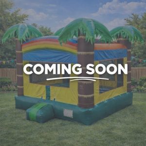 Tropical Paradise Palm 14×14 Bounce House rental from InflatableTX in North DFW