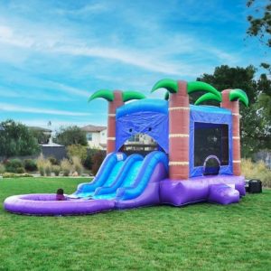 Palm Paradise Dual Slide Water Combo rental from InflatableTX in North DFW