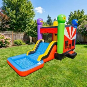Shadow Strike Ninja Wide Lane Combo rental from InflatableTX in North DFW