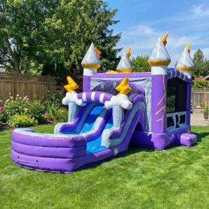 Storm Crown Dual Slide Combo rental from InflatableTX in North DFW