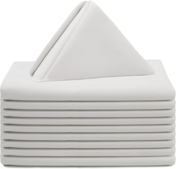 White Cloth Napkins 20x20 (set of 12, choose color) rental - InflatableTX